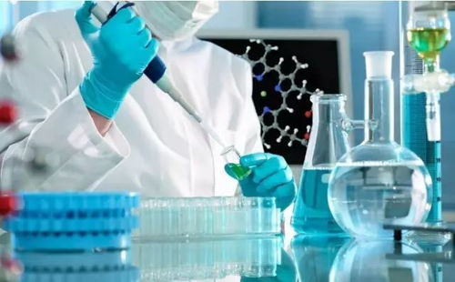 园区企业领航材料科学，国家重点研发项目5930万经费助推科技创新